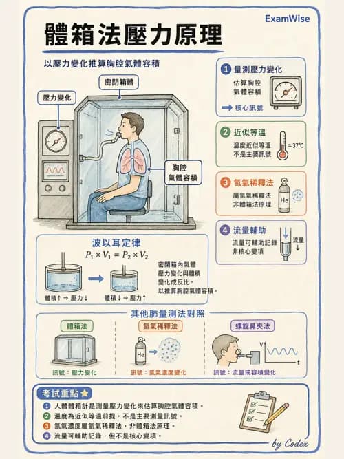 呼吸治療師 - 呼吸機械力學監測 - AI 圖文解析預覽