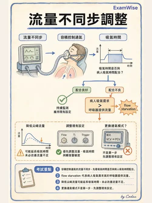 呼吸治療師 - 呼吸機械力學監測 - AI 圖文解析預覽