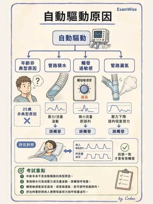 呼吸治療師 - 呼吸機械力學監測 - AI 圖文解析預覽