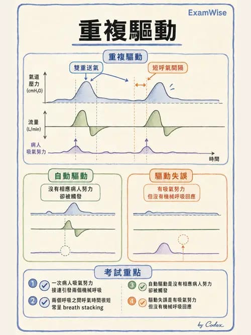 呼吸治療師 - 呼吸機械力學監測 - AI 圖文解析預覽