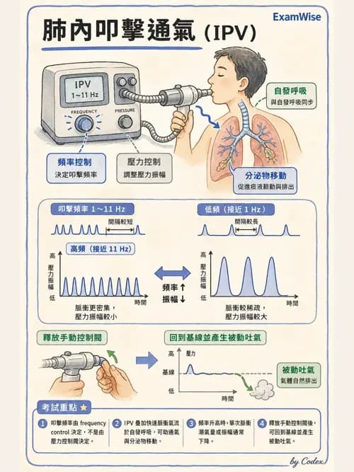 呼吸治療師 - 胸部擴張與物理治療設備 - AI 圖文解析預覽