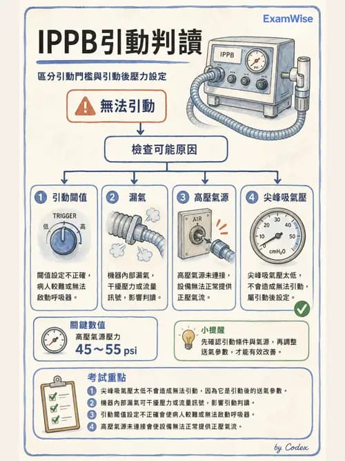 呼吸治療師 - 胸部擴張與物理治療設備 - AI 圖文解析預覽