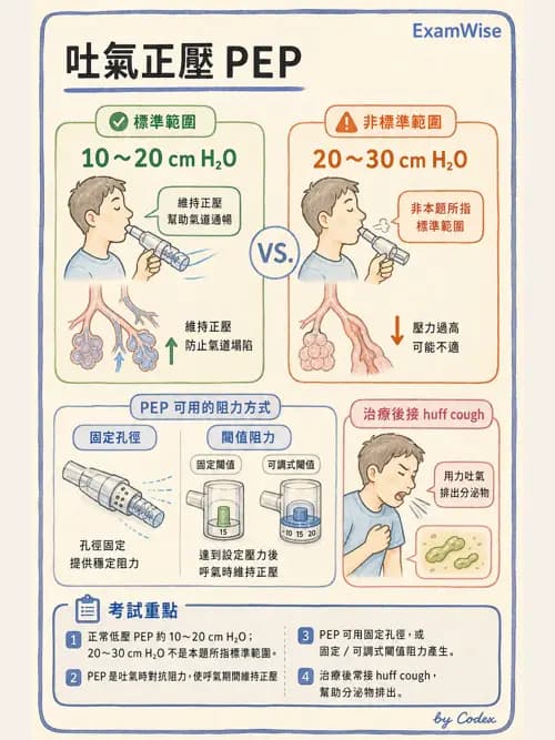呼吸治療師 - 胸部擴張與物理治療設備 - AI 圖文解析預覽