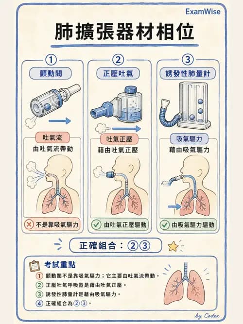 呼吸治療師 - 胸部擴張與物理治療設備 - AI 圖文解析預覽