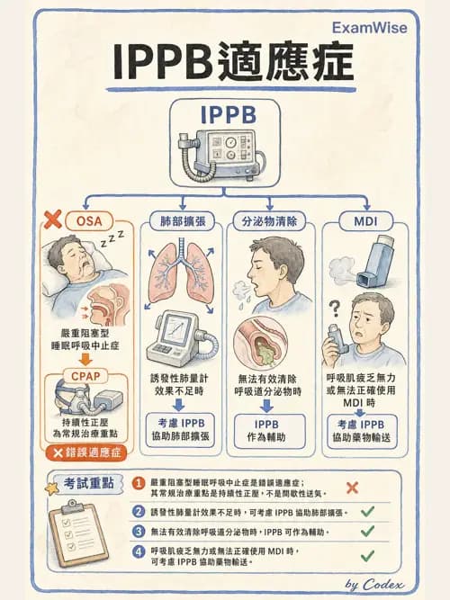 呼吸治療師 - 胸部擴張與物理治療設備 - AI 圖文解析預覽