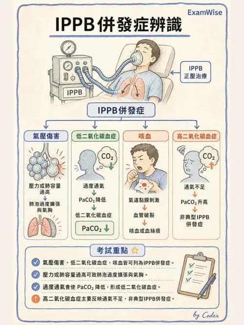 呼吸治療師 - 胸部擴張與物理治療設備 - AI 圖文解析預覽
