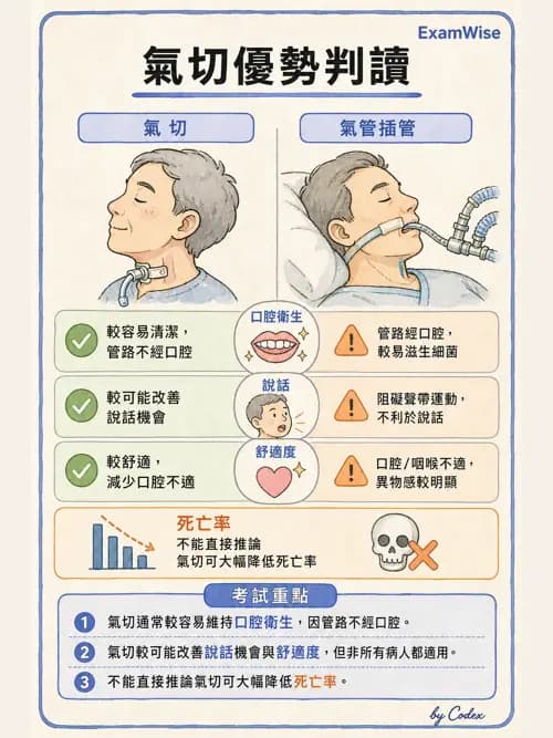 呼吸治療師 - 呼吸道照護與抽痰設備 - AI 圖文解析預覽