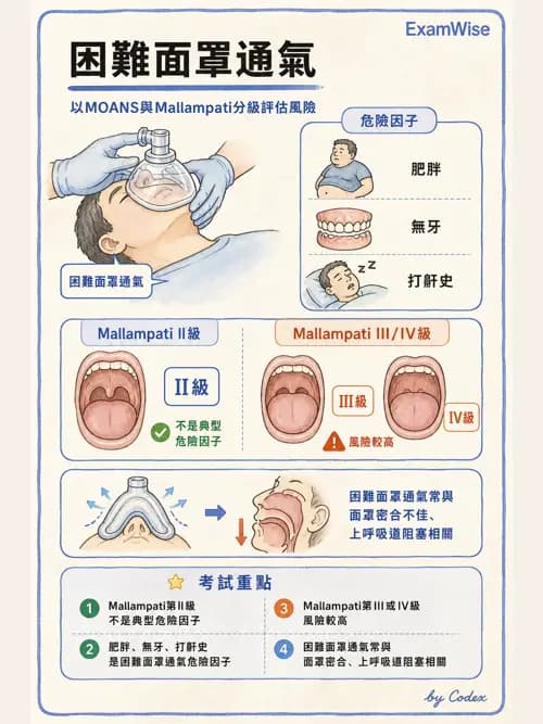 呼吸治療師 - 呼吸道照護與抽痰設備 - AI 圖文解析預覽