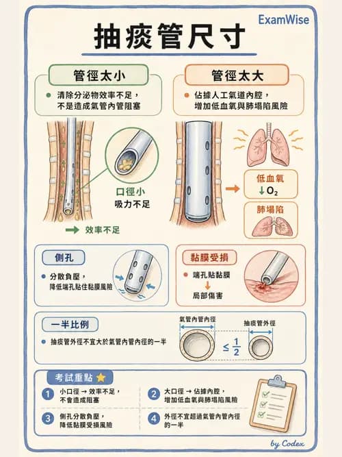 呼吸治療師 - 呼吸道照護與抽痰設備 - AI 圖文解析預覽