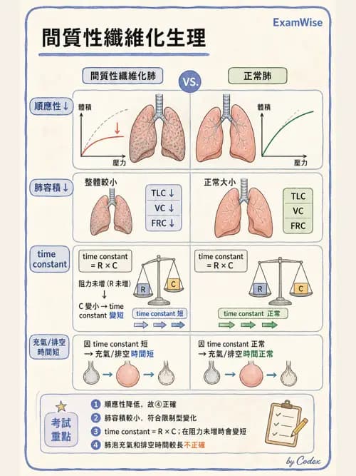 呼吸治療師 - 機械通氣生理 - AI 圖文解析預覽