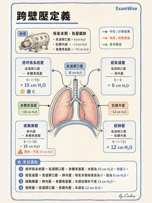 呼吸治療師 - 機械通氣生理 - AI 圖文解析預覽