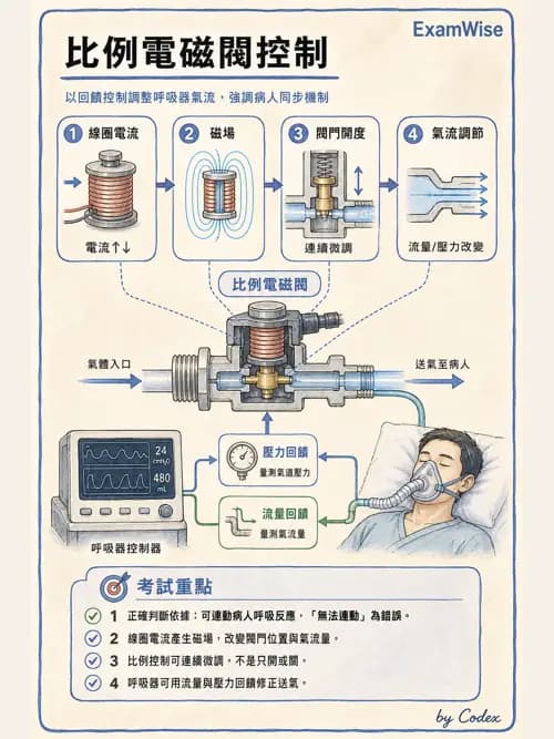 呼吸治療師 - 呼吸器設計與通氣模式 - AI 圖文解析預覽