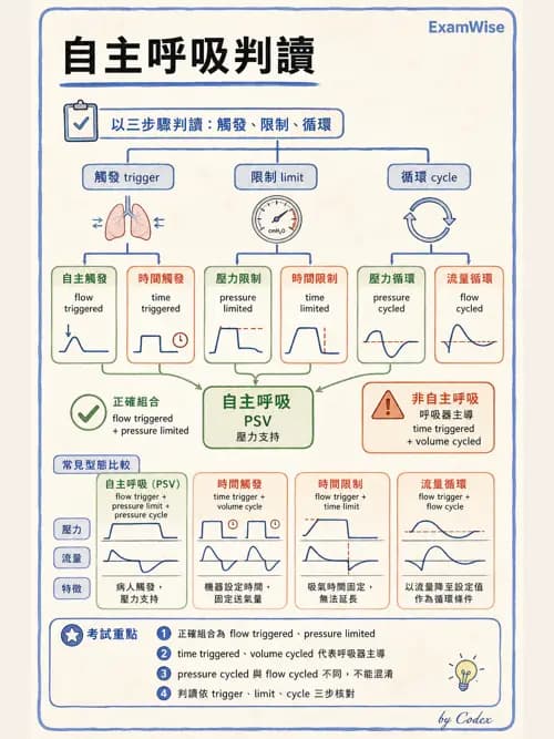 呼吸治療師 - 呼吸器設計與通氣模式 - AI 圖文解析預覽