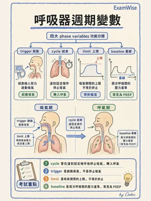 呼吸治療師 - 呼吸器設計與通氣模式 - AI 圖文解析預覽