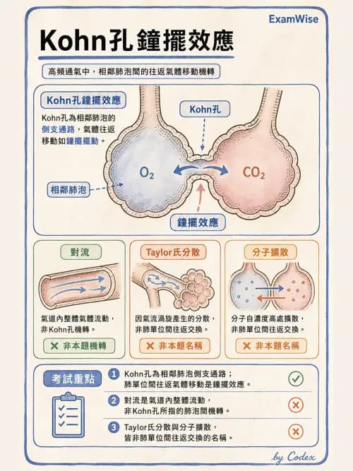 呼吸治療師 - 呼吸器設計與通氣模式 - AI 圖文解析預覽