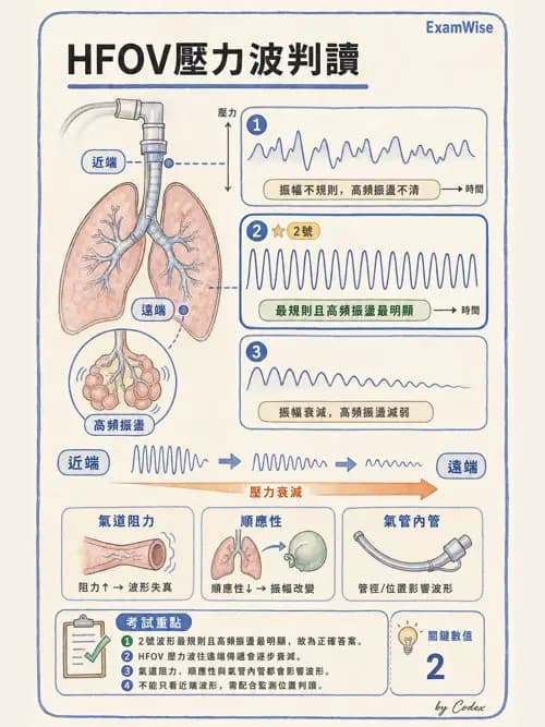 呼吸治療師 - 呼吸器圖形判讀與故障排除 - AI 圖文解析預覽
