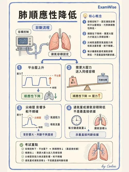 呼吸治療師 - 呼吸器監測與評估 - AI 圖文解析預覽