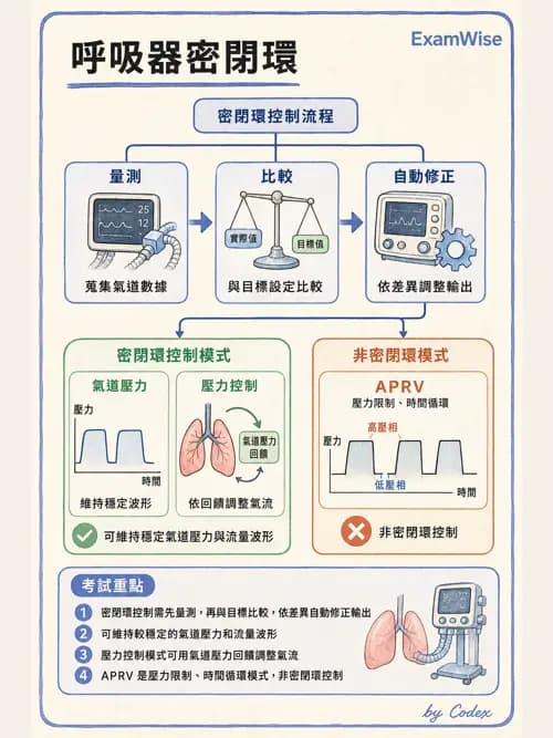 呼吸治療師 - 呼吸器設計與通氣模式 - AI 圖文解析預覽