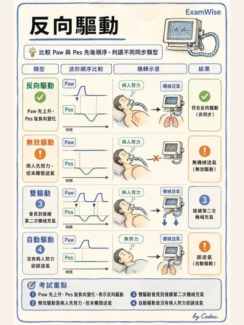 呼吸治療師 - 呼吸器監測與評估 - AI 圖文解析預覽