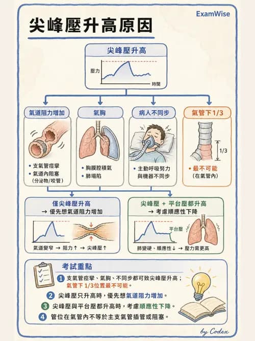 呼吸治療師 - 呼吸器圖形判讀與故障排除 - AI 圖文解析預覽