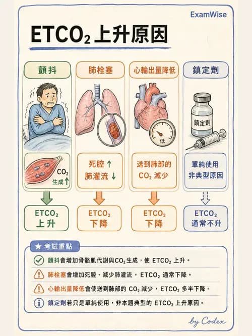 呼吸治療師 - 呼吸器監測與評估 - AI 圖文解析預覽