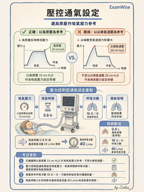 呼吸治療師 - 臨床設定、參數調整與脫離 - AI 圖文解析預覽