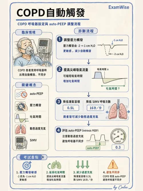 呼吸治療師 - 臨床設定、參數調整與脫離 - AI 圖文解析預覽