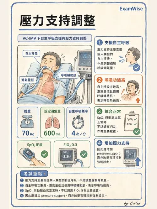 呼吸治療師 - 臨床設定、參數調整與脫離 - AI 圖文解析預覽