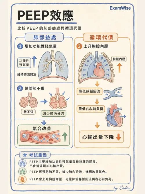 呼吸治療師 - 正壓通氣生理影響與合併症 - AI 圖文解析預覽