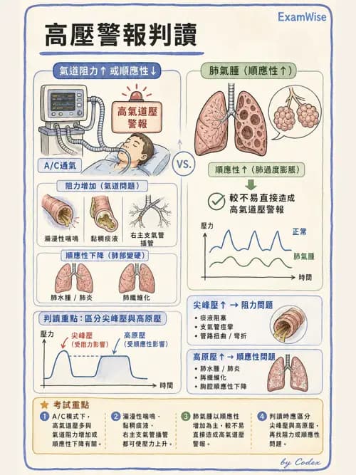呼吸治療師 - 呼吸器圖形判讀與故障排除 - AI 圖文解析預覽