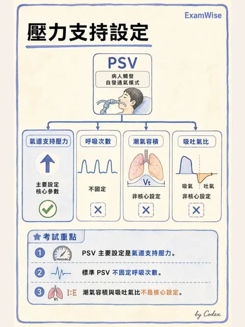 呼吸治療師 - 呼吸器設計與通氣模式 - AI 圖文解析預覽