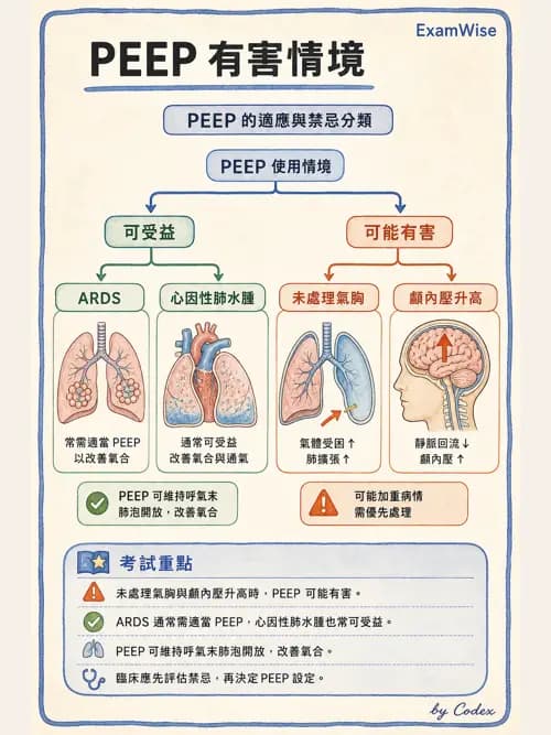 呼吸治療師 - 正壓通氣生理影響與合併症 - AI 圖文解析預覽