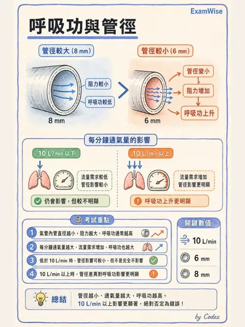 呼吸治療師 - 機械通氣生理 - AI 圖文解析預覽