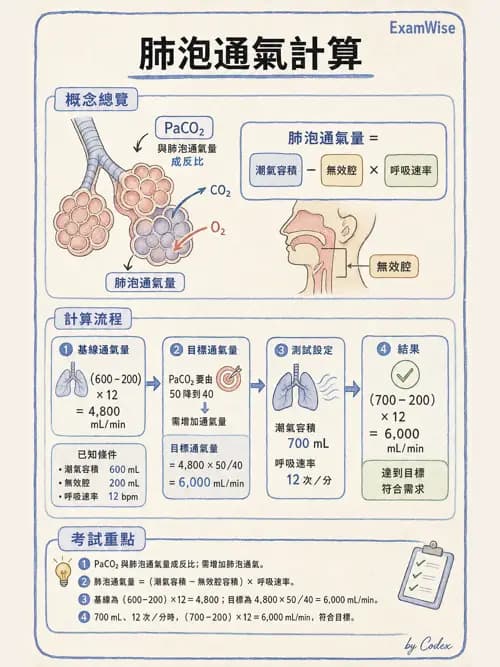 呼吸治療師 - 臨床設定、參數調整與脫離 - AI 圖文解析預覽