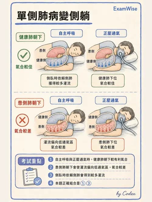 呼吸治療師 - 臨床設定、參數調整與脫離 - AI 圖文解析預覽