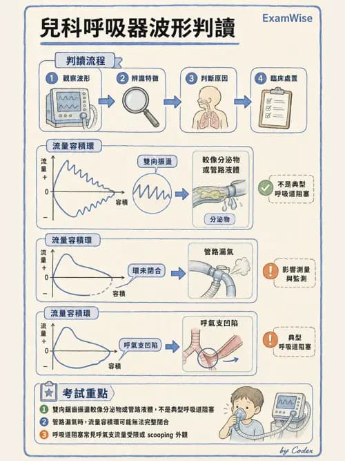 呼吸治療師 - 呼吸器圖形判讀與故障排除 - AI 圖文解析預覽