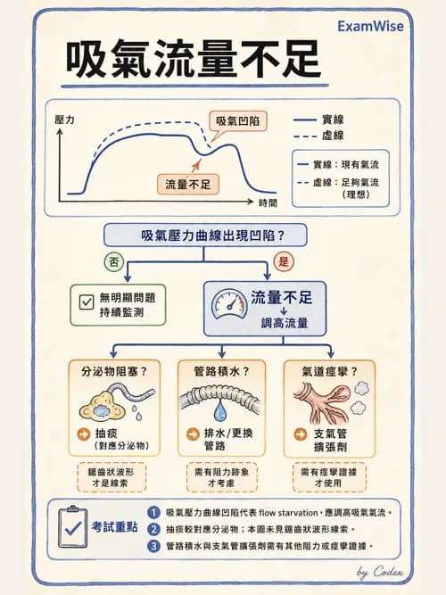 呼吸治療師 - 呼吸器圖形判讀與故障排除 - AI 圖文解析預覽