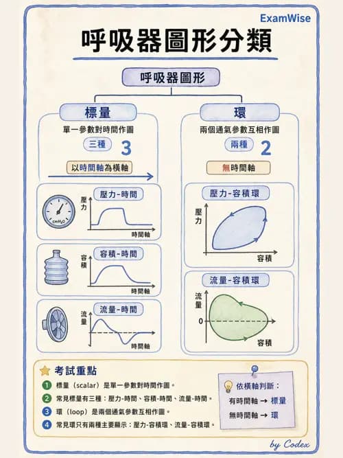 呼吸治療師 - 呼吸器圖形判讀與故障排除 - AI 圖文解析預覽
