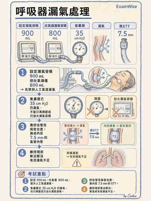 呼吸治療師 - 臨床設定、參數調整與脫離 - AI 圖文解析預覽