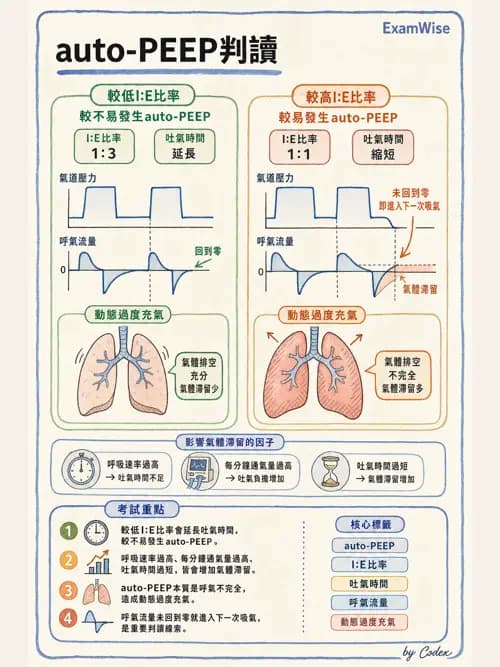呼吸治療師 - 臨床設定、參數調整與脫離 - AI 圖文解析預覽