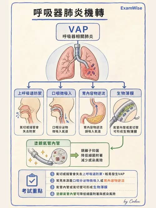 呼吸治療師 - 正壓通氣生理影響與合併症 - AI 圖文解析預覽