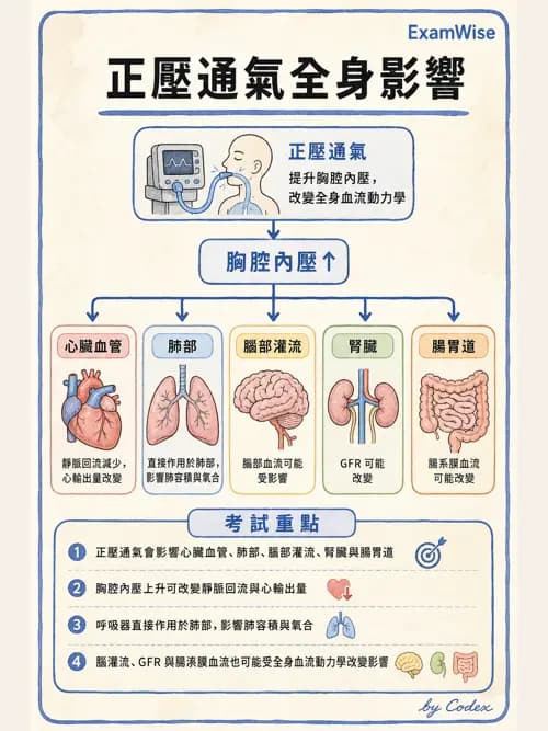 呼吸治療師 - 正壓通氣生理影響與合併症 - AI 圖文解析預覽