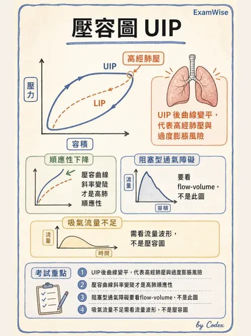 呼吸治療師 - 呼吸器圖形判讀與故障排除 - AI 圖文解析預覽