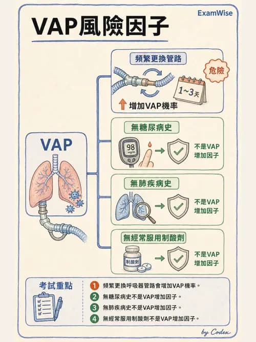 呼吸治療師 - 正壓通氣生理影響與合併症 - AI 圖文解析預覽
