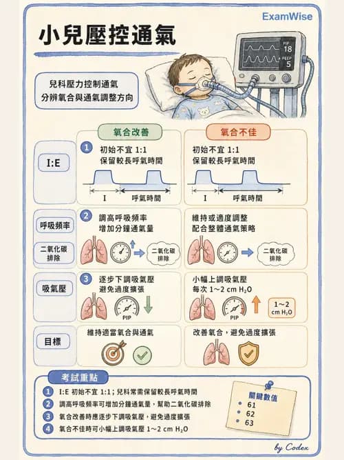 呼吸治療師 - 小兒呼吸器支持 - AI 圖文解析預覽