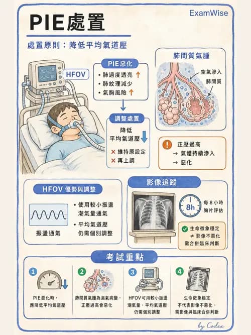 呼吸治療師 - 小兒呼吸器支持 - AI 圖文解析預覽