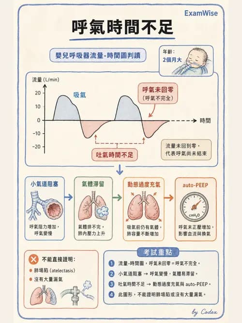 呼吸治療師 - 小兒呼吸器支持 - AI 圖文解析預覽