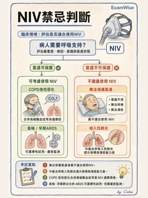 呼吸治療師 - 非侵襲性與居家通氣 - AI 圖文解析預覽