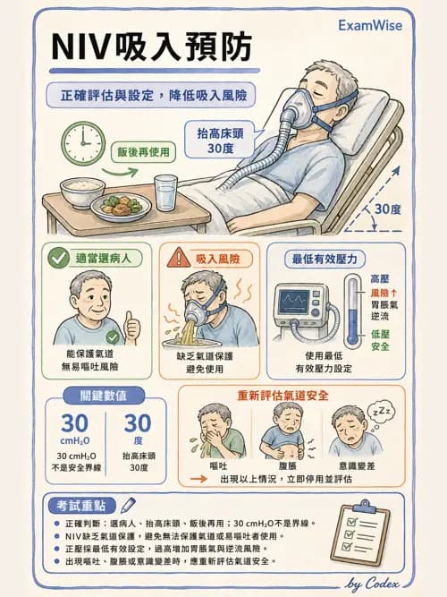 呼吸治療師 - 非侵襲性與居家通氣 - AI 圖文解析預覽