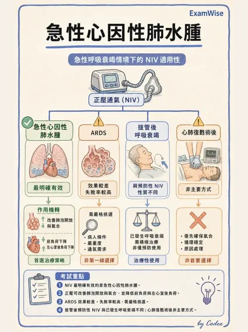 呼吸治療師 - 非侵襲性與居家通氣 - AI 圖文解析預覽